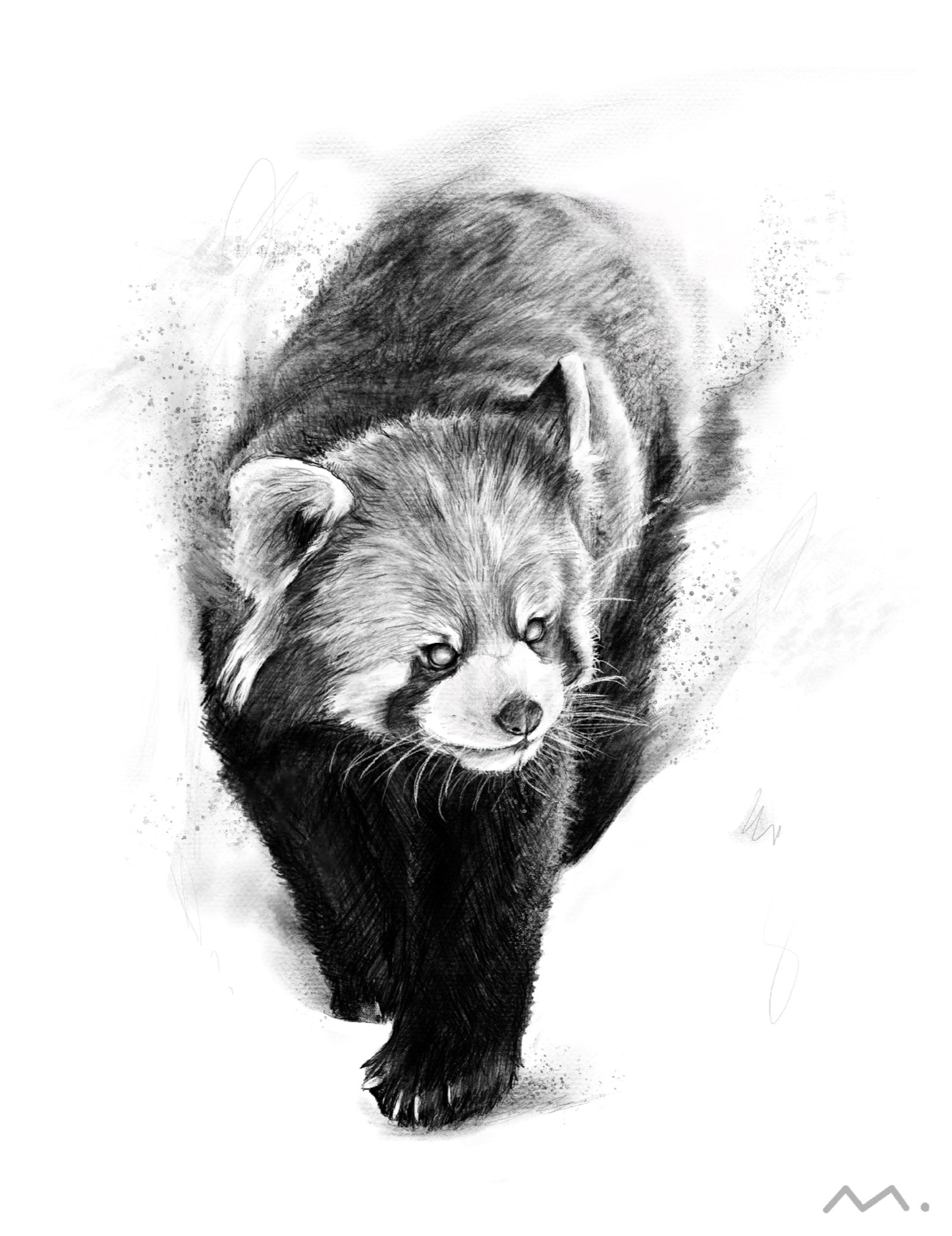Red Panda Art Print (2021)